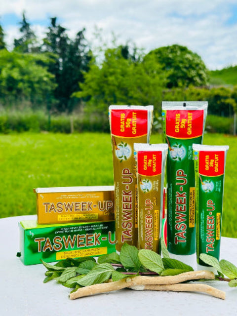 24x Miswak Zahnpasta